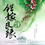 A Mistaken Marriage Match 1: Record of Washed Grievances 错嫁良缘之洗冤录 by Qian Lu (HE)