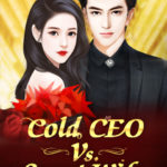 Cold CEO Vs. Sweet Wife 高冷男神VS蜜桃娇妻 by 石榴小姐 Shi Liu Xiao Jie