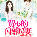 CEO's Sudden Proposal / Flash Marriage Deep Love / He Shao De Shanhun Nuan Qi (Unforgettable Love) 贺少的闪婚暖妻 (贺先生的恋恋不忘) by 秦页 Qin He (HE)