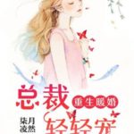 Your Turn to Chase After Me / Chong Sheng Nuan Hun Qing Chong Qi 重生暖婚轻宠妻 by 柒月凌然 Qi Yue Ling Ran (HE)