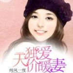 What If You’re My Boss? (Well Dominated Love) 独爱天价暖妻 (奈何BOSS又如何) by 纯风一度 Chun Feng Yi Du