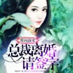 Gossip Ex-wife 绯闻前妻:总裁离婚请签字 by 糖糖糖衣 Sugar