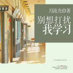 Don’t Think About Interrupting My Study (Don't Disturb My Study) 别想打扰我学习 by 月流光 Yue Liu Guang