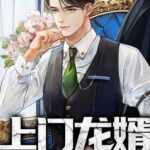 Live-in Dragon Son-In-Law (Jin Ji De Ye Chen) 上门龙婿 (进击的叶辰) by 叶公子 Ye Gong Zi